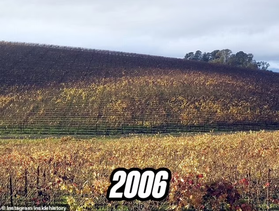 Це фото бачив кожен - і тепер люди в шоці: як зараз виглядає легендарний пагорб із Windows XP